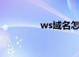 ws域名怎么样（ws域名）