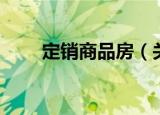 定销商品房（关于定销商品房介绍）