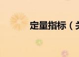 定量指标（关于定量指标介绍）