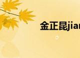 金正昆jiangliyi（金正云）