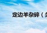 定边羊杂碎（关于定边羊杂碎介绍）