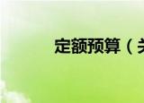 定额预算（关于定额预算介绍）