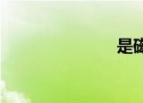 是磁通量矢量