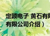 定颖电子 黄石有限公司（关于定颖电子 黄石有限公司介绍）