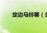 定边马铃薯（关于定边马铃薯介绍）