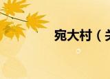 宛大村（关于宛大村介绍）