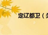 定辽都卫（关于定辽都卫介绍）