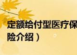定额给付型医疗保险（关于定额给付型医疗保险介绍）