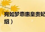宛如梦悫惠皇贵妃（关于宛如梦悫惠皇贵妃介绍）