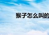 猴子怎么叫的声音（猴子怎么叫）
