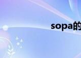 sopa的意思（sopa）