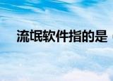 流氓软件指的是（流氓软件是什么意思）
