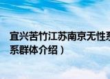 宜兴苦竹江苏南京无性系群体（关于宜兴苦竹江苏南京无性系群体介绍）