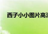 西子小小图片高清（西子小小最新照片）