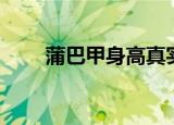 蒲巴甲身高真实身高（蒲巴甲身高）