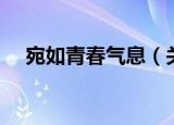 宛如青春气息（关于宛如青春气息介绍）