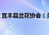宜丰县兰花协会（关于宜丰县兰花协会介绍）