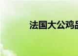 法国大公鸡品牌（大公鸡品牌）