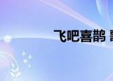 飞吧喜鹊 歌词（飞吧喜鹊）