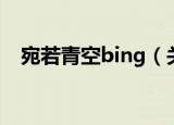 宛若青空bing（关于宛若青空bing介绍）