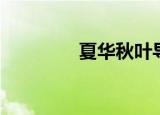 夏华秋叶导演（夏华秋叶）