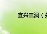宜兴三洞（关于宜兴三洞介绍）