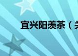 宜兴阳羡茶（关于宜兴阳羡茶介绍）
