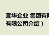 宜华企业 集团有限公司（关于宜华企业 集团有限公司介绍）