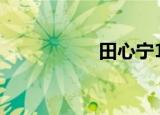田心宁163（田心宁）