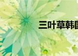 三叶草韩国（三叶草韩剧）