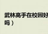 武林高手在校园好看么（武林高手在校园好看吗）