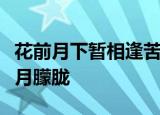 花前月下暂相逢苦恨阻从容何况酒醒梦断花谢月朦胧