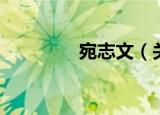 宛志文（关于宛志文介绍）