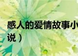 感人的爱情故事小说推荐（感人的爱情故事小说）