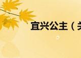 宜兴公主（关于宜兴公主介绍）