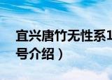 宜兴唐竹无性系1号（关于宜兴唐竹无性系1号介绍）