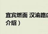 宜宾燃面 汉渝路店（关于宜宾燃面 汉渝路店介绍）