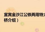 宜宾金沙江公铁两用特大桥（关于宜宾金沙江公铁两用特大桥介绍）