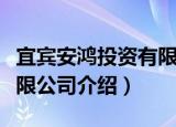 宜宾安鸿投资有限公司（关于宜宾安鸿投资有限公司介绍）