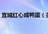 宜城红心咸鸭蛋（关于宜城红心咸鸭蛋介绍）