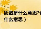 质数是什么意思?合数又是什么意思?（质数是什么意思）