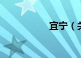 宜宁（关于宜宁介绍）