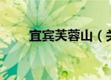 宜宾芙蓉山（关于宜宾芙蓉山介绍）