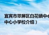 宜宾市翠屏区白花镇中心小学校（关于宜宾市翠屏区白花镇中心小学校介绍）