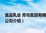 宜品乳业 青岛集团有限公司（关于宜品乳业 青岛集团有限公司介绍）