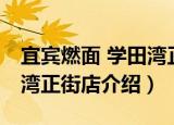 宜宾燃面 学田湾正街店（关于宜宾燃面 学田湾正街店介绍）