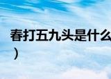 春打五九头是什么意思（春打六九头什么意思）