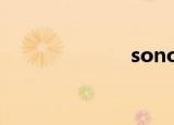 sonofthebitch
