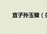 宜子孙玉璧（关于宜子孙玉璧介绍）