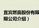 宜宾燃面股份有限公司（关于宜宾燃面股份有限公司介绍）